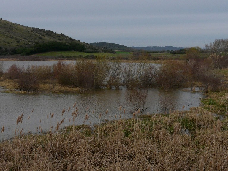 Lago di San Floriano (Capalbio): fermarsi non guasta!